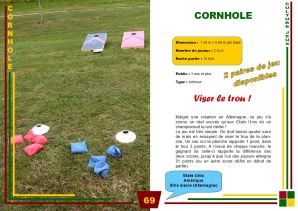 p69-cornhole