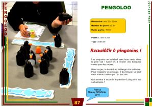 P87-pengoloo